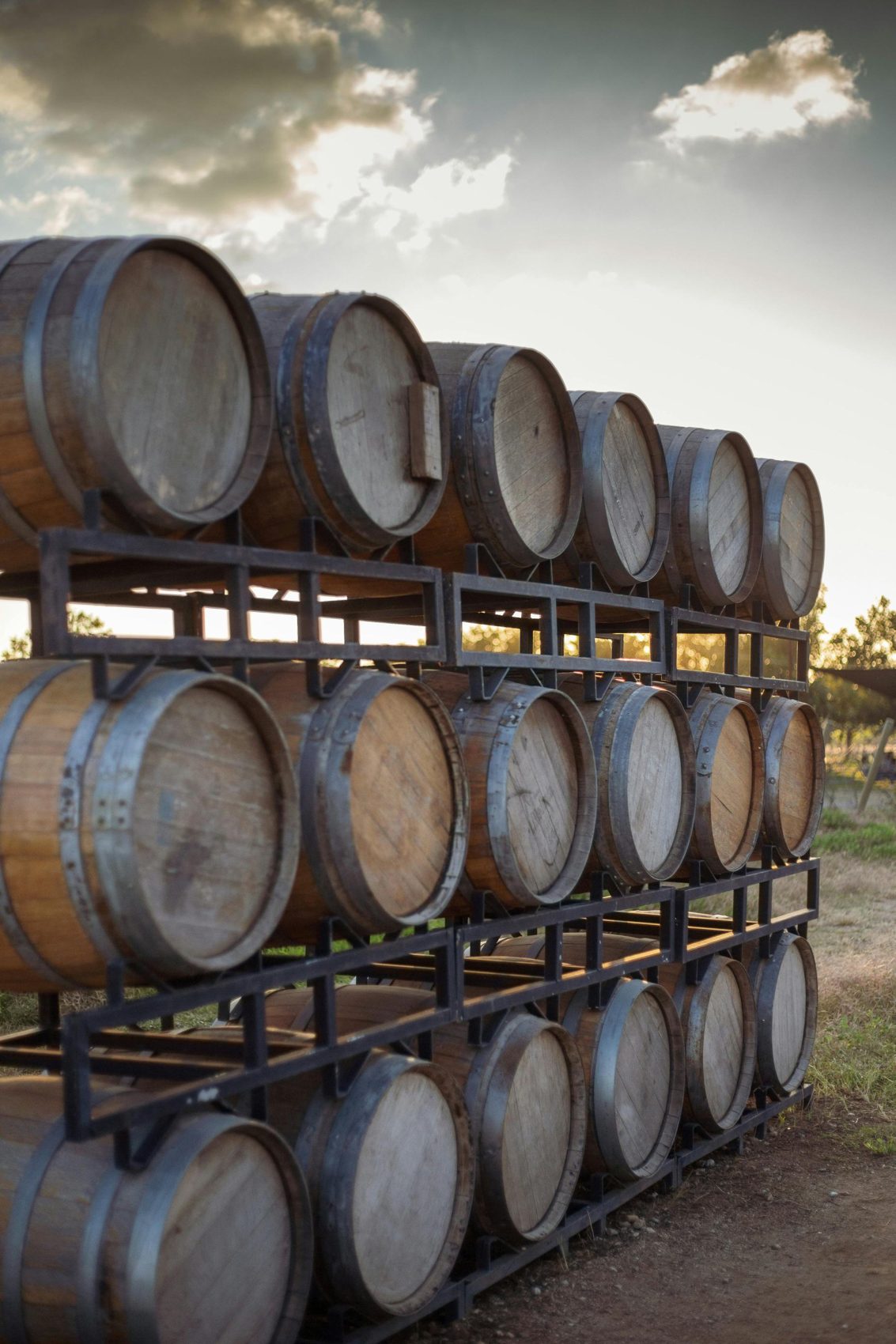 Barricas de roble en la bodega de Casa Barrica